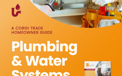 Plumbing & Water Systems: Simple Steps Every Homeowner Can Take to Stay Safe